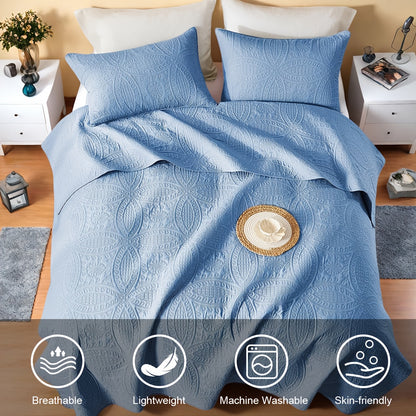 Quilt Set Queen Size 2/3 Piece Lightweight Microfiber Bedspread Soft Cool Coin Pattern Coverlet for All Seasons – Modern Summer Quilt with Pillow Cases for Bedroom Family Gift