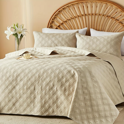 Quilt Set Queen Size 2/3 Piece Lightweight Microfiber Bedspread Soft Cool Coin Pattern Coverlet for All Seasons – Modern Summer Quilt with Pillow Cases for Bedroom Family Gift