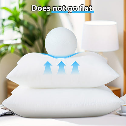 Fluffy Square Pillow Inserts with Zipper Closure – 4 Pack Plump Cushion Stuffer Inserts for Sofa, Bed & Patio | 6 Sizes | Machine Washable | 100% Polyester Fill