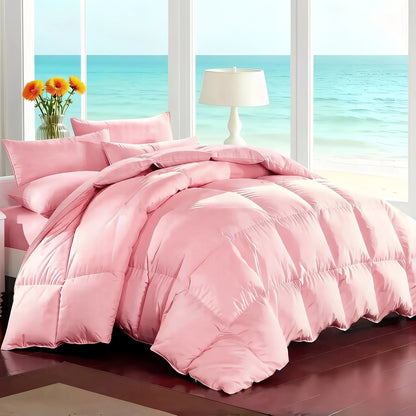 7-Piece Comforter Set Bed in a Bag - Soft Microfiber Down Alternative Comforter with Sheets Pillow Shams All Season Bedding Set Full Queen King, Multiple Colors