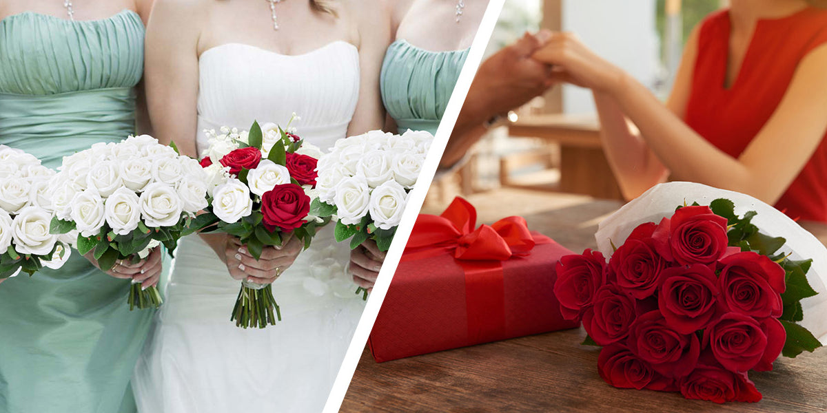 Artificial Roses Bulk with Long Stems Real Touch Velvet Fake Rose Flowers for Wedding Centerpieces, Bridal Bouquet, Valentine's Day, Mother's Day & Home Decor – 50 or 100 Pcs (Red, White, Pink, Black, Blue)
