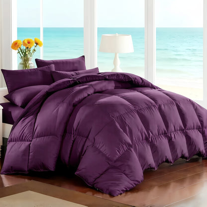 7-Piece Comforter Set Bed in a Bag - Soft Microfiber Down Alternative Comforter with Sheets Pillow Shams All Season Bedding Set Full Queen King, Multiple Colors